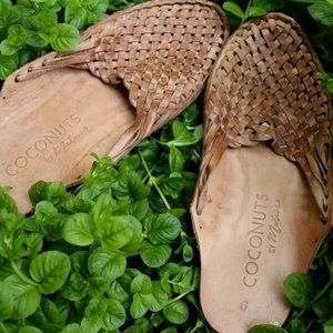 Coconuts by Matisse Mules